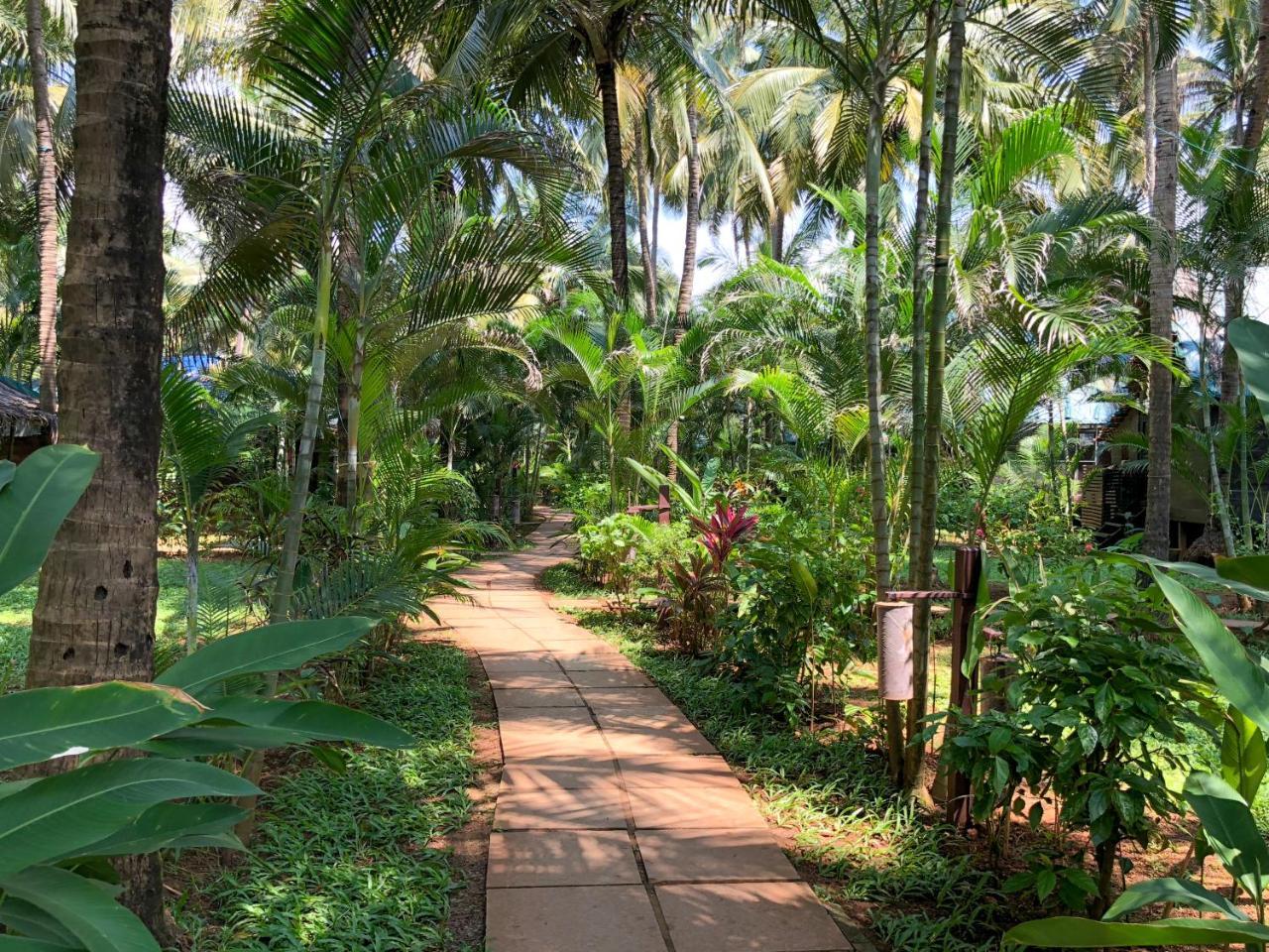 Leela Cottages Morjim Εξωτερικό φωτογραφία